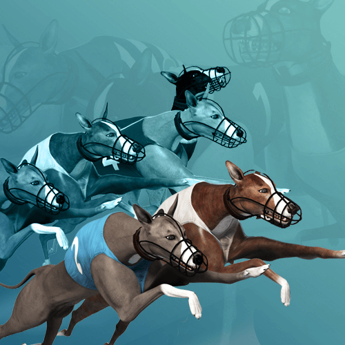 Virtual Greyhound Races играть онлайн