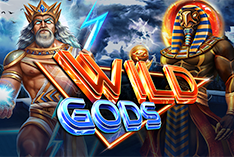 Wild Gods играть онлайн