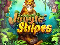Jungle Stripes → Стань королем джунглей и выиграй по-крупному 