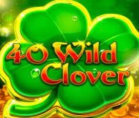 40 Wild Clover Казино Игра на гривны 🏆 1win Украина