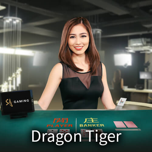 P — Dragon Tiger