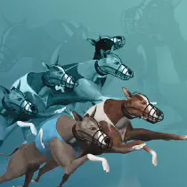 Virtual Greyhound Races