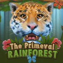 Primeval Rainforest Казино Игра на гривны 🏆 1win Украина