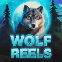 Wolf Reels Казино Игра на гривны 🏆 1win Украина