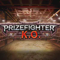 Prize Fighter KO Казино Игра на гривны 🏆 1win Украина