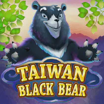 Taiwan Black Bear Казино Игра на гривны 🏆 1win Украина