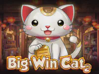 Big Win Cat Казино Игра на гривны 🏆 1win Украина