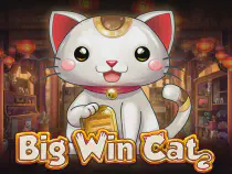 Big Win Cat Казино Игра на гривны 🏆 1win Украина