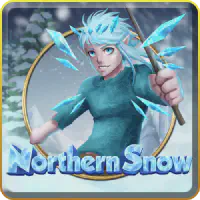 NorthernSnow Казино Игра на гривны 🏆 1win Украина