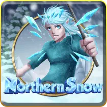 NorthernSnow Казино Игра на гривны 🏆 1win Украина