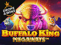 Buffalo King Megaways Казино Игра на гривны 🏆 1win Украина