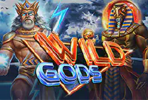 Wild Gods Казино Игра на гривны 🏆 1win Украина