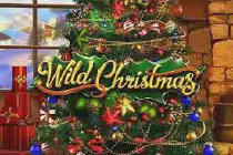 Wild Christmas Казино Игра на гривны 🏆 1win Украина