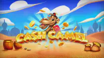 Cash Camel Казино Игра на гривны 🏆 1win Украина