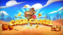 Cash Camel Казино Игра на гривны 🏆 1win Украина