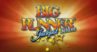 Big Runner Deluxe Казино Игра на гривны 🏆 1win Украина