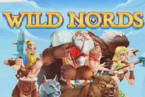 Wild Nords Казино Игра на гривны 🏆 1win Украина