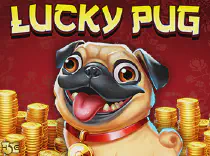 Lucky Pug Казино Игра на гривны 🏆 1win Украина