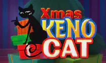 Xmas Keno Cat Казино Игра на гривны 🏆 1win Украина