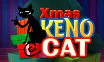 Xmas Keno Cat Казино Игра на гривны 🏆 1win Украина