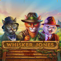 Whisker Jones Казино Игра на гривны 🏆 1win Украина