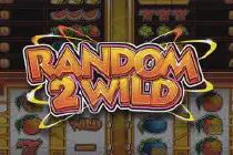 Random 2 Wild Deluxe Казино Игра на гривны 🏆 1win Украина