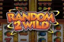 Random 2 Wild Deluxe Казино Игра на гривны 🏆 1win Украина