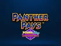 Panther Pays Power Play JP Казино Игра на гривны 🏆 1win Украина