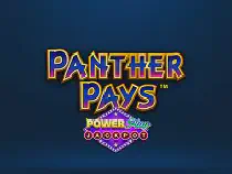Panther Pays Power Play JP Казино Игра на гривны 🏆 1win Украина