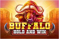 Buffalo Hold and Win Казино Игра на гривны 🏆 1win Украина
