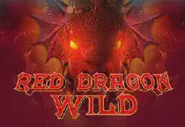 Red Dragon Wild Казино Игра на гривны 🏆 1win Украина