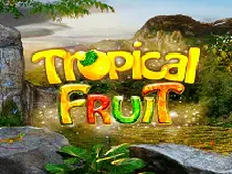 Tropical Fruit Казино Игра на гривны 🏆 1win Украина