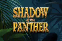 Shadow of the Panther Казино Игра на гривны 🏆 1win Украина