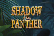 Shadow of the Panther Казино Игра на гривны 🏆 1win Украина