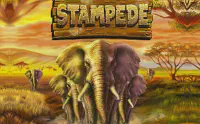 Elephant Stampede Казино Игра на гривны 🏆 1win Украина
