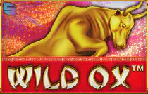 Wild Ox Казино Игра на гривны 🏆 1win Украина