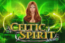 Celtic Spirit Deluxe Казино Игра на гривны 🏆 1win Украина