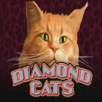 Diamond Cats Казино Игра на гривны 🏆 1win Украина