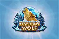 Siberian Wolf Казино Игра на гривны 🏆 1win Украина