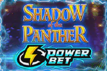 Shadow Of The Panther Power Bet Config Казино Игра на гривны 🏆 1win Украина