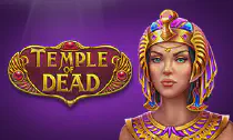 Temple Of Dead Казино Игра на гривны 🏆 1win Украина
