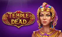 Temple Of Dead Казино Игра на гривны 🏆 1win Украина