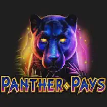 Panther Pays Казино Игра на гривны 🏆 1win Украина