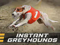Instant Greyhounds Казино Игра на гривны 🏆 1win Украина