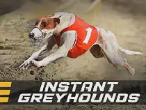 Instant Greyhounds Казино Игра на гривны 🏆 1win Украина