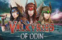 Valkyries of Odin Казино Игра на гривны 🏆 1win Украина