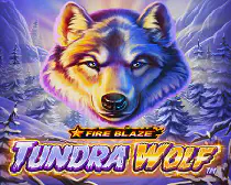 Fire Blaze Golden Tundra Wolf Казино Игра на гривны 🏆 1win Украина