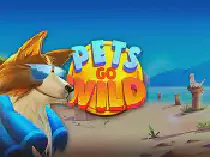 Pets go Wild90 Казино Игра на гривны 🏆 1win Украина