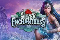 Silver Enchantress Казино Игра на гривны 🏆 1win Украина