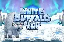 White Buffalo Казино Игра на гривны 🏆 1win Украина